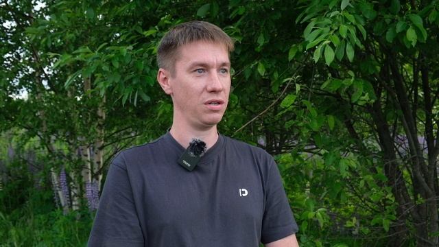 Про "Золотые поля"