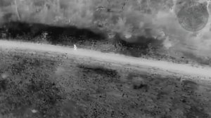 Убежать не получилось.