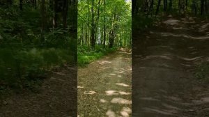 1000042002.mp4