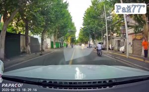 Пёс, сопровождая хозяина на мотоцикле, чудом не угодил под автомобиль