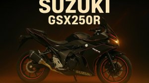 Suzuki GSX250R - LC6DN11AZ01104639