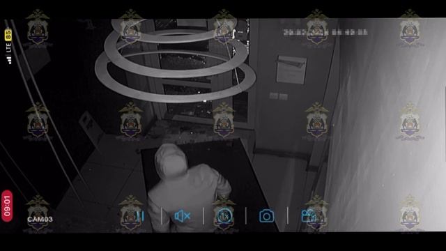 В Великом Новгороде осуждён серийный магазинный вор, чуть было не ставший миллионером