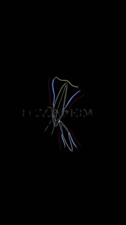 Интро канала PLOGica #стоматология #гнатология #plogica #shorts
