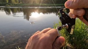 ВЕЧЕРНЯЯ РЫБАЛКА НА ЩУЧКУ В МАЛЕНЬКОЙ ЛЕСНОЙ РЕЧКЕ