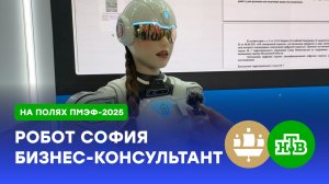 Разговорчивая София знает все о том, как открыть бизнес в Московской области | ПМЭФ-2025