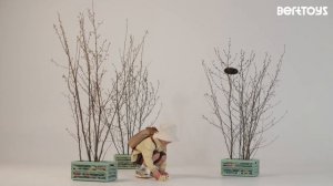 Нажималки BertToys