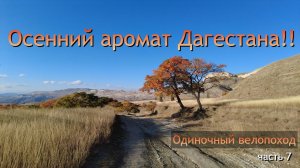 ☪ На ковре из желтых листьев....В лабиринте Салтинской долины, Балхар. Наследие древнего Дагестана!