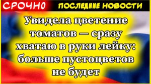 Увидела цветение томатов — сразу хватаю в руки лейку: больше пустоцветов не будет!