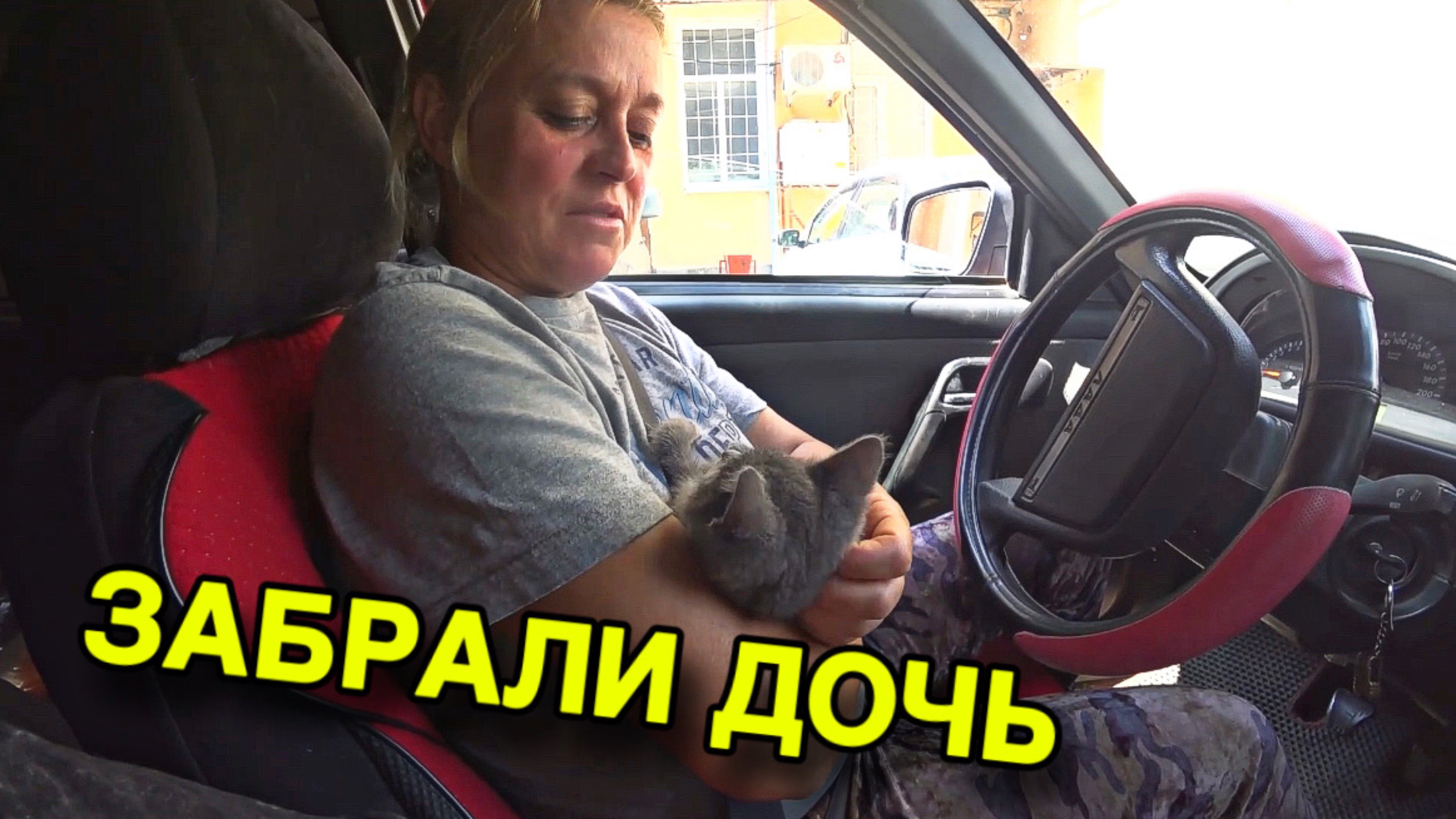 Была БЫ Я БОГАТА — Построила БЫ ПРИЮТ !Забрали ДОЧЬ ДОМОЙ С МАЛЕНЬКИМ Прицепом.