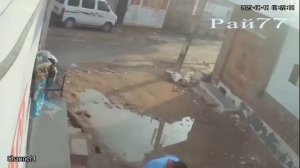 Дикая свинья напала на отца с дочерью, проезжающих на мотоцикле
