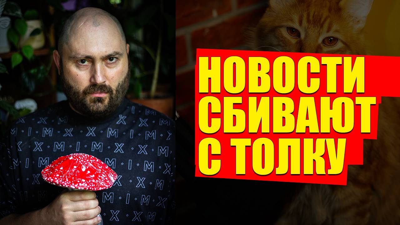 Инвестируешь как ГЕЙ - получаешь пиз@лей