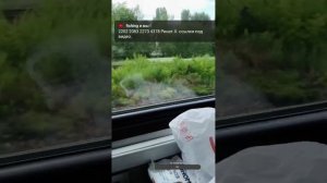 Прямая трансляция fishing и мы !