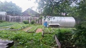 VID-20250618-WA0001
