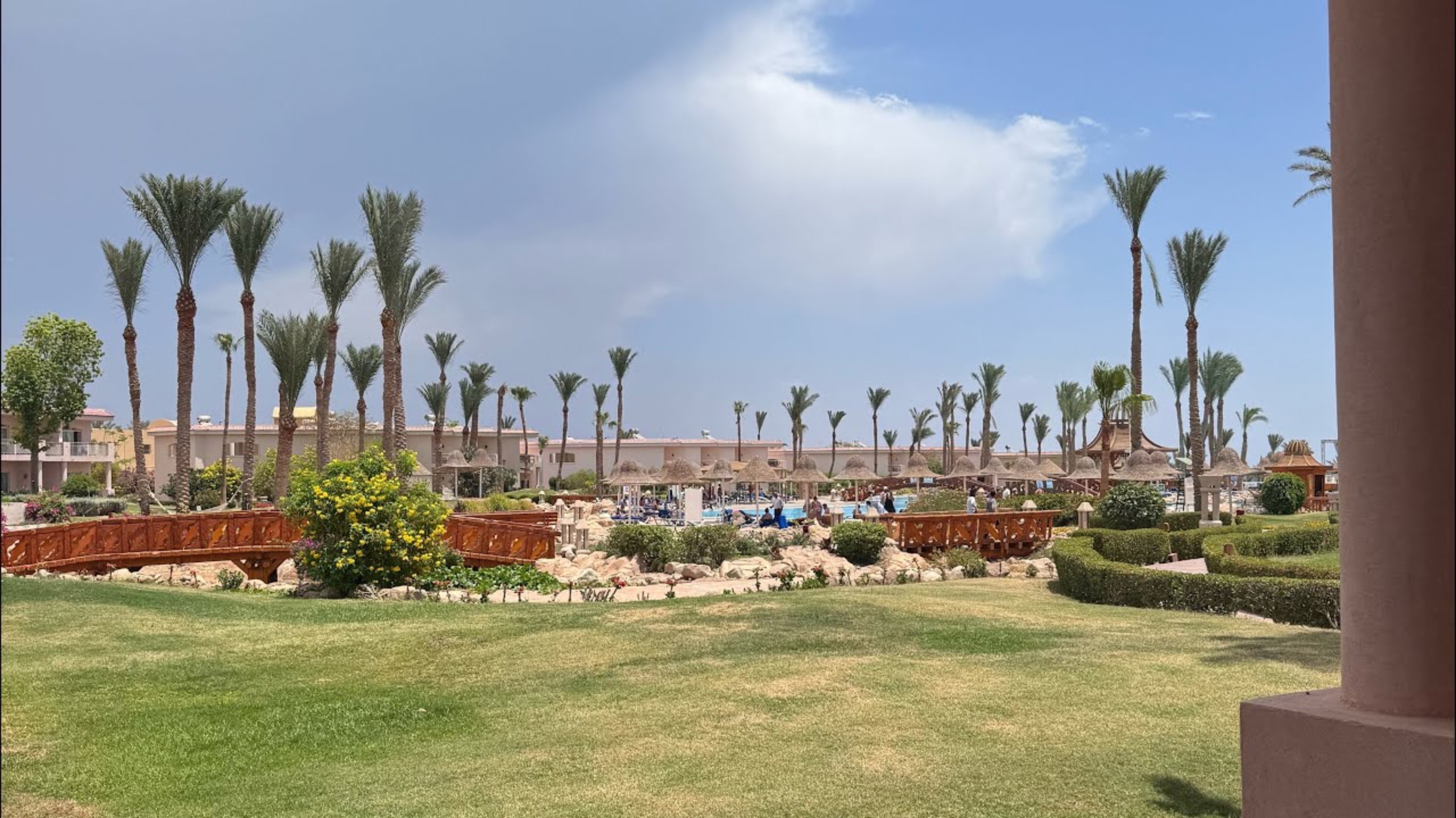 🔥ПЕРЕЕЗЖАЕМ В ДРУГОЙ ОТЕЛЬ! PARROTEL BEACH RESORT 5* ШАРМ ЭЛЬ ШЕЙХ