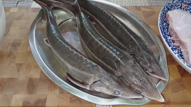 Шашлык из стерляди, свиной шашлык и цыпленок тапака.