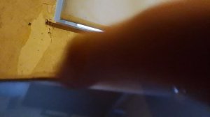 пошёл на самом сложном уровне сложности челлендж в игре Schoolboy Ranaway прошёл очень быстро 1014