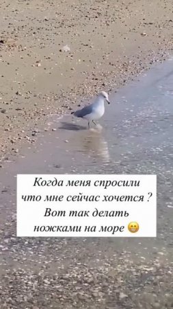 КОГДА МЕНЯ СПРОСИЛИ, ЧТО МНЕ СЕЙЧАС ХОЧЕТСЯ?