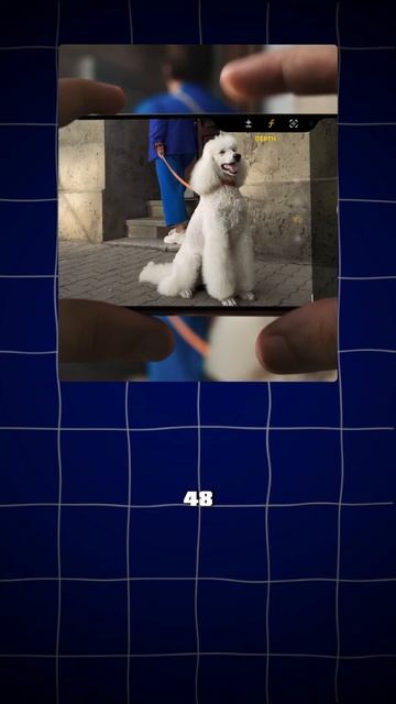 17 ПРИЧИН купить iPhone