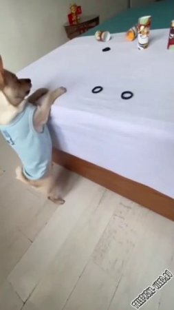 ВОТ ТАК) ))))