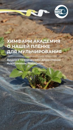Отзыв Химфарм Академии о нашей мульчирующей плёнке ⚒️