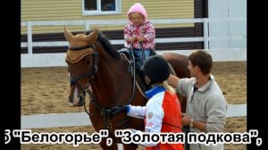 Видеоурок «Конь в жизни казака» (версия для слабослышащих пользователей)