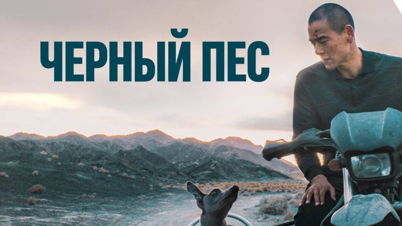 Чёрный пёс (2024) ( Драма, триллер )
