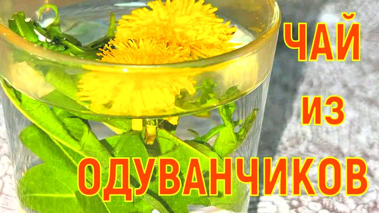 ОДУВАНЧИКОВЫЙ ЧАЙ – СУПЕРСРЕДСТВО ДЛЯ ЗДОРОВЬЯ! УКРЕПЛЯЕТ ИММУНИТЕТ, ЧИСТИТ СОСУДЫ, ОМОЛАЖИВАЕТ!
