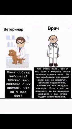 Ветеринар-врач