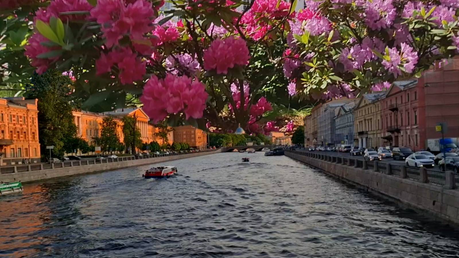 ✨✨✨Прекрасный Санкт-Петербург ✨✨✨