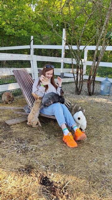 Ранчо кроликов 🐇