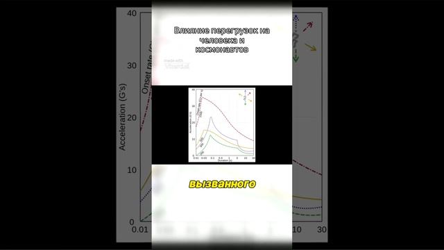 Влияние перегрузок на человека и космонавтов.