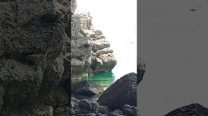 Нижняя скала , возле моря ,голова и лицо Одна  я вижу ?😊🥺