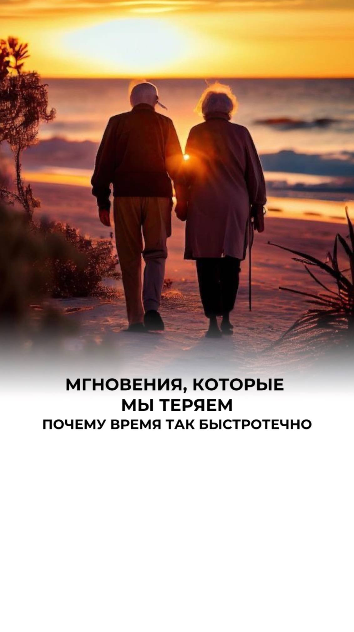 Жизнь состоит из моментов
