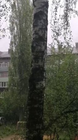 1000039819.mp4