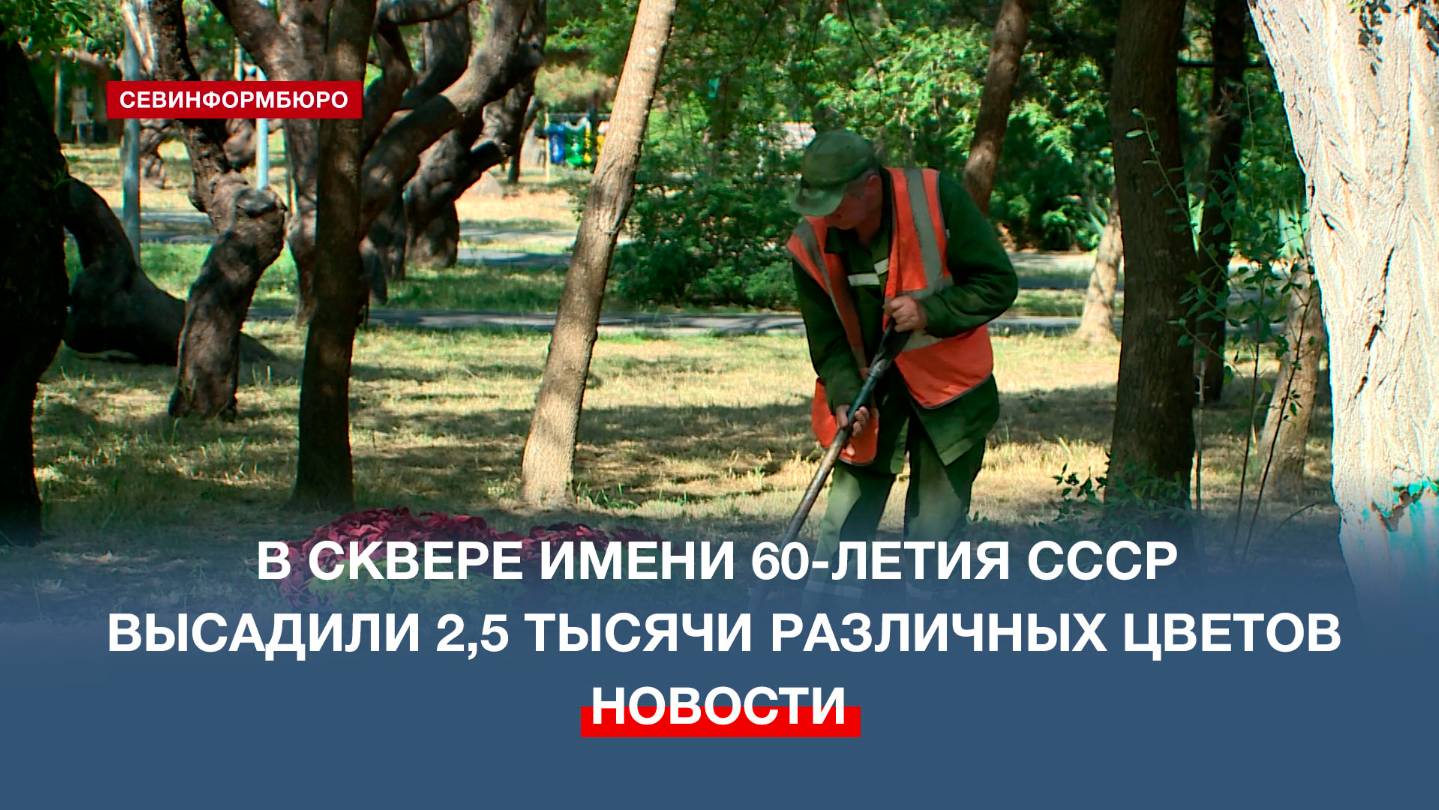 В сквере имени 60-летия СССР высадили 2,5 тысячи различных цветов