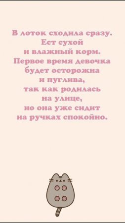 💗 Котенок Мася в добрые руки! 🏡 🐈