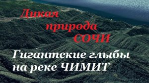Джунгли Сочи. Дикие места на реке Чемит в Лазаревском.