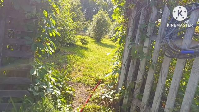 ГОСТИ..ПЕРЕКУС и ЕСТЬ ПОВОД...