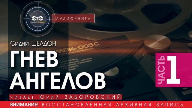 ГНЕВ АНГЕЛОВ - часть 1 - Сидни ШЕЛДОН (читает Юрий ЗАБОРОВСКИЙ) | аудиокниги слушать