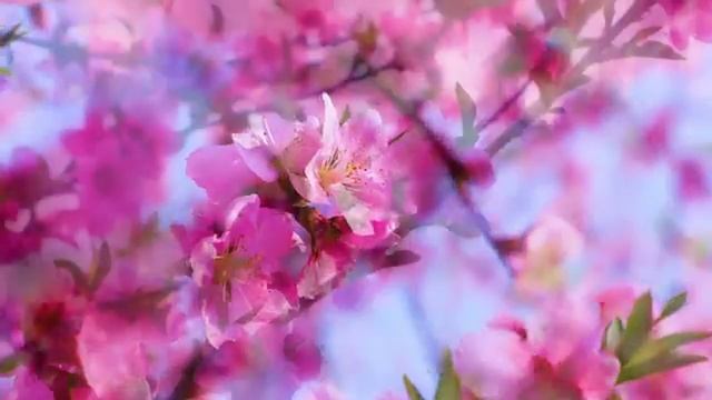 🌼 Весеннее пробуждение