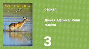 Дикая Африка: Реки жизни 2 серия «Лимпопо» (документальный сериал, 2018)