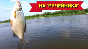 РЫБАЛКА на РУЧЕЙНИКА.