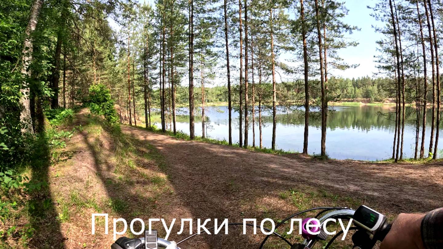 Прогулки по лесу.  Поездка к озеру на велосипеде.