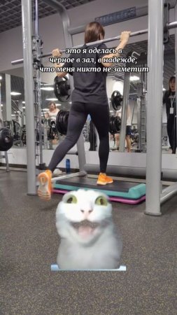 И я туда же 😂😂😂