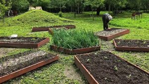НА ОЗЕРО В ЛЕСУ СПУСТИЛИ ДЕРЕВЯННУЮ ЛОДКУ. СПАСАЕМСЯ ОТ БЕЛОКРЫЛКИ. СТРОЙКА НА ХУТОРЕ.