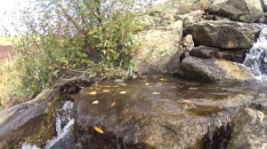 Чубовский водопад. Самарская область.
