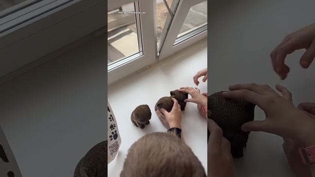 WB арт.: 177172815 @qbrix-world смотреть онлайн