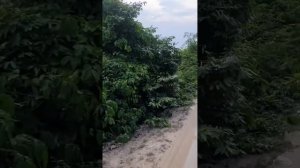 патайя