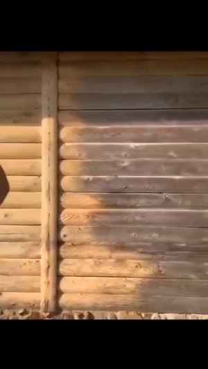Омолжение бруса