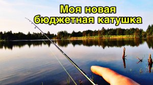 БЮДЖЕТНЫЙ КОМПЛЕКТ ДЛЯ МОРМЫШИНГА | КАТУШКА DAYO PRESTIGE 800